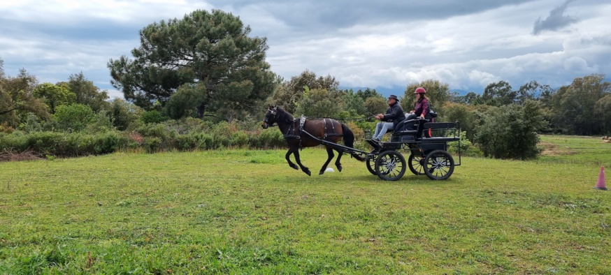 Stage TREC en attelage avec Ken POSTE - 22 avril 2021