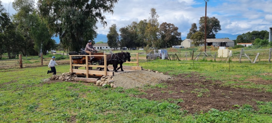 Stage TREC en attelage avec Ken POSTE - 22 avril 2021