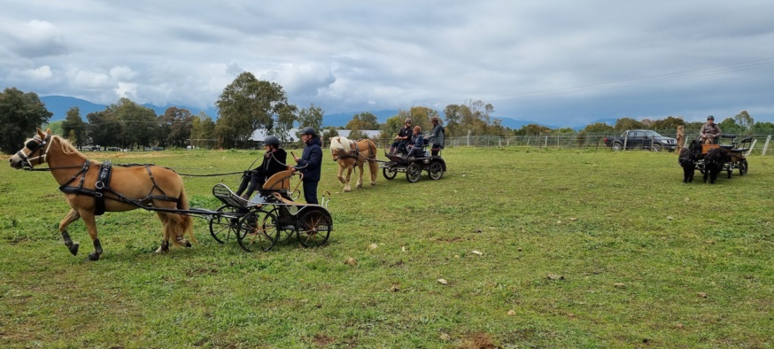 Stage TREC en attelage avec Ken POSTE - 22 avril 2021