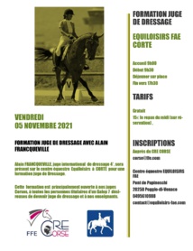 Formation ODC juge Dressage