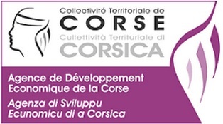 ADEC- Dispositif exceptionnel pour la Corse suite à la grève de la SNCM- Déclaration entreprises en difficulté à remplir ADEC- Dispositif exceptionnel pour la Corse suite à la grève de la SNCM- Déclaration entreprises en difficulté à remplir