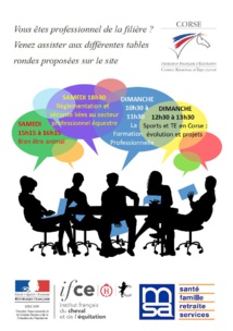 Cavall'in Festa 2024 Cavall'in Festa 2024