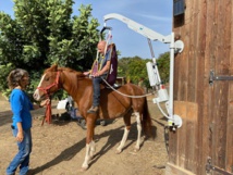 Cavall'in Festa 2024 Cavall'in Festa 2024