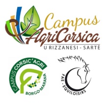 Cavall'in Festa 2024 Cavall'in Festa 2024