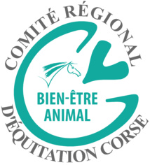 Cavall'in Festa 2024 Cavall'in Festa 2024