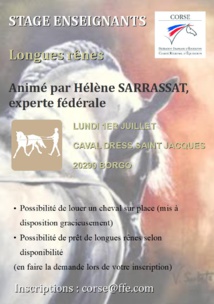 Stage longues rênes Stage longues rênes