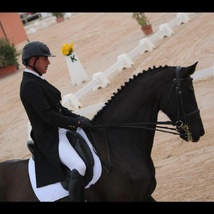 Stage de perfectionnement Dressage Stage de perfectionnement Dressage