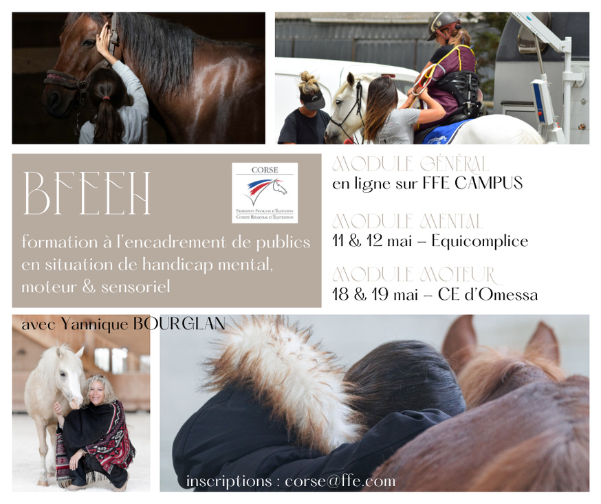 Brevet Fédéral d'Encadrement Equi Handi Brevet Fédéral d'Encadrement Equi Handi
