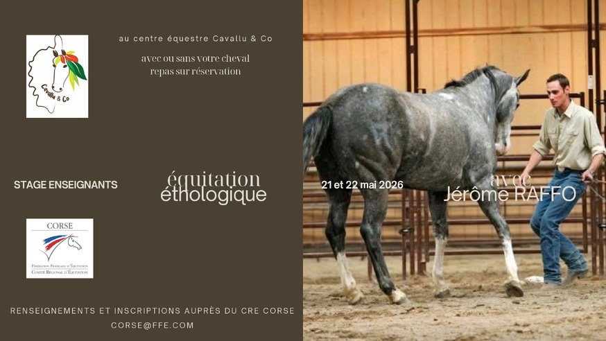 Stages enseignants en équitation éthologique Stages enseignants en équitation éthologique