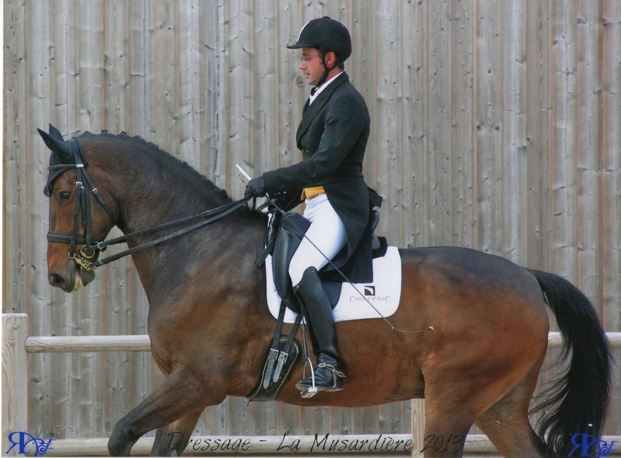 Formation ODC Juge Dressage Formation ODC Juge Dressage
