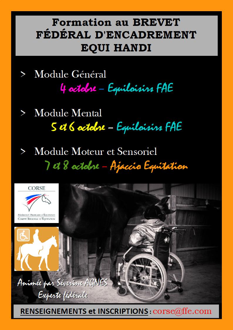 Brevet Fédéral d'Encadrement Equi Handi Brevet Fédéral d'Encadrement Equi Handi