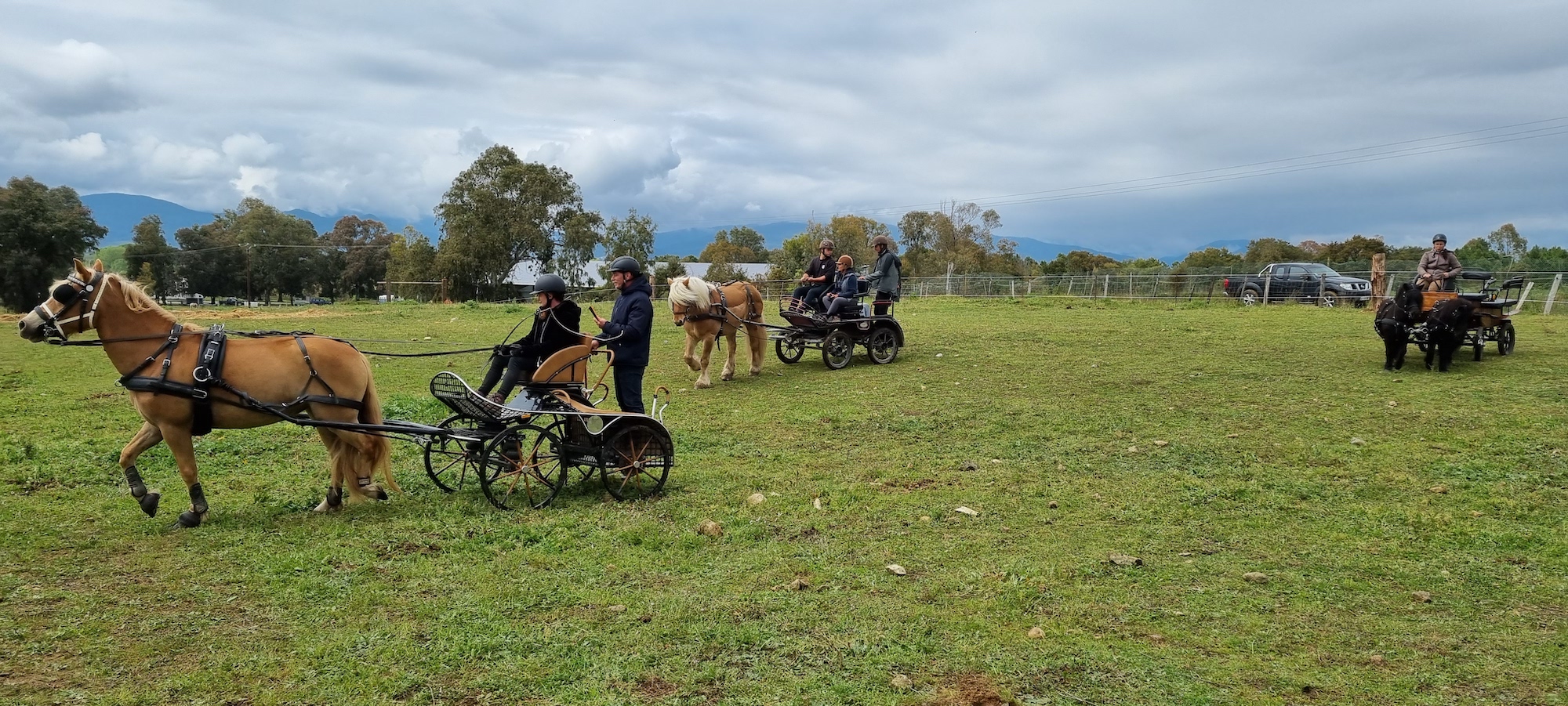 Stage TREC en attelage avec Ken POSTE - 22 avril 2021