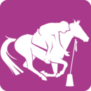 Résultats concours Pony Games- 3 et 4 mai 2014- CE Domaine d'Anghione- Castellare di Casinca