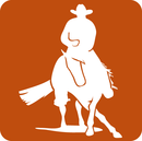 Résultats concours équitation western- 11 et 12 octobre 2014- FE le Ranch- Sagone