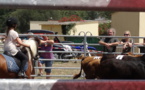 Equitation Western et de Travail Equitation Western et de Travail