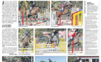 CSO Club - 17 février - Ecurie de Valendella