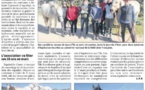 Concours Equifeel et Equifun - dimanche 24 février 2019 - Haras de Tesa