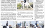 Concours Dressage - 16 et 17 mars 2019 - Ajaccio Equitation
