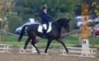 Résultats/ Championnat de Corse de Dressage 2012