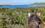 A cheval en Corse !