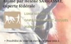 Stage longues rênes