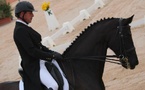Stage de perfectionnement Dressage