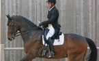 Formation ODC Juge Dressage