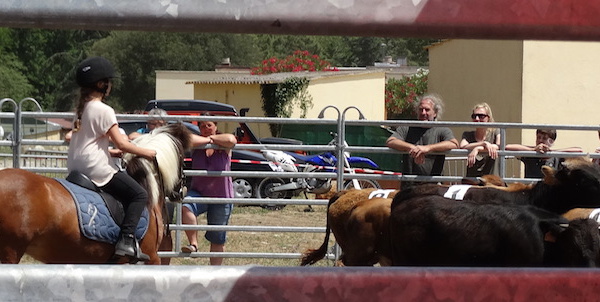 Equitation Western et de Travail