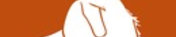 Résultats concours Equitation Western et de Travail- 21 et 22 septembre- ACET Western- Casamacciuli