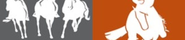 Résultats Championnats de Corse Equitation de Travail et Western- 20 octobre 2013- Les Cavaliers du Cortenais- Corte