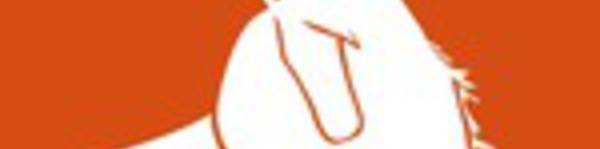 Résultats concours Sagone - 6 et 7 mai 2023